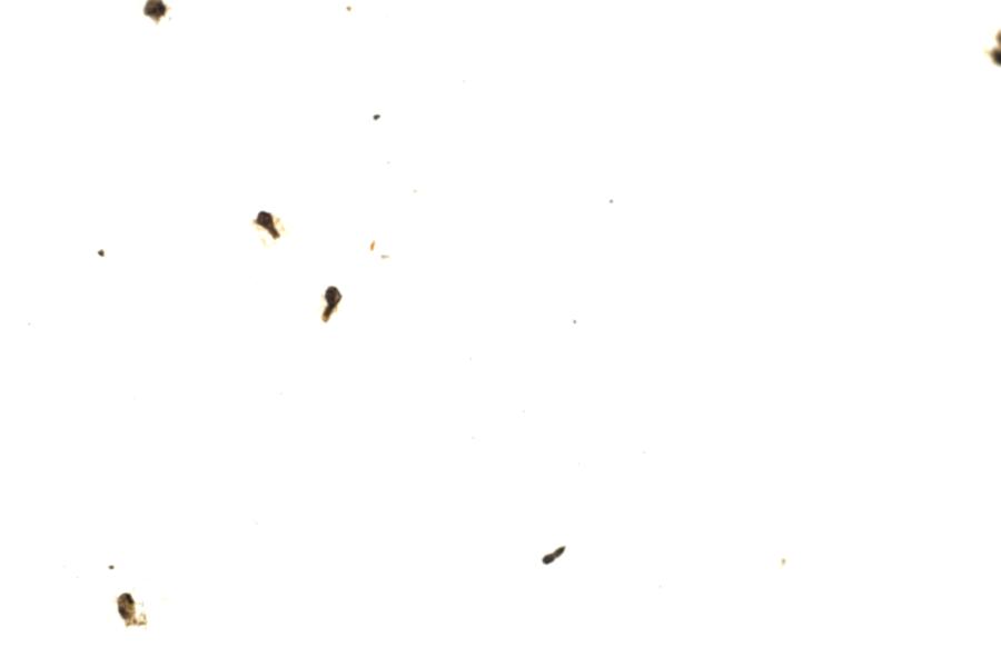 Image 69